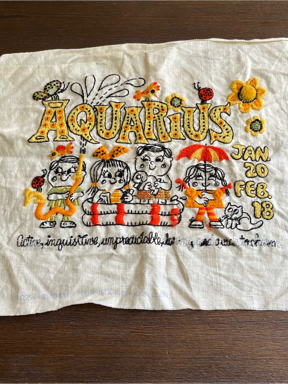 Aquarius Crewel Embroidery | Wall Art | Completed | Unframed | 17”x 21” Fabric